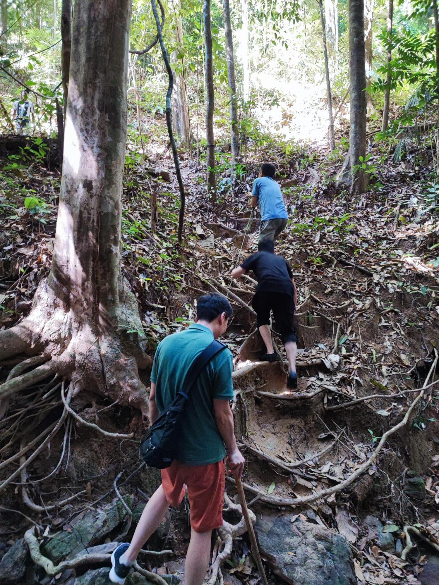 Tekoma Resort Taman Negara Kuala Tahan Exteriér fotografie