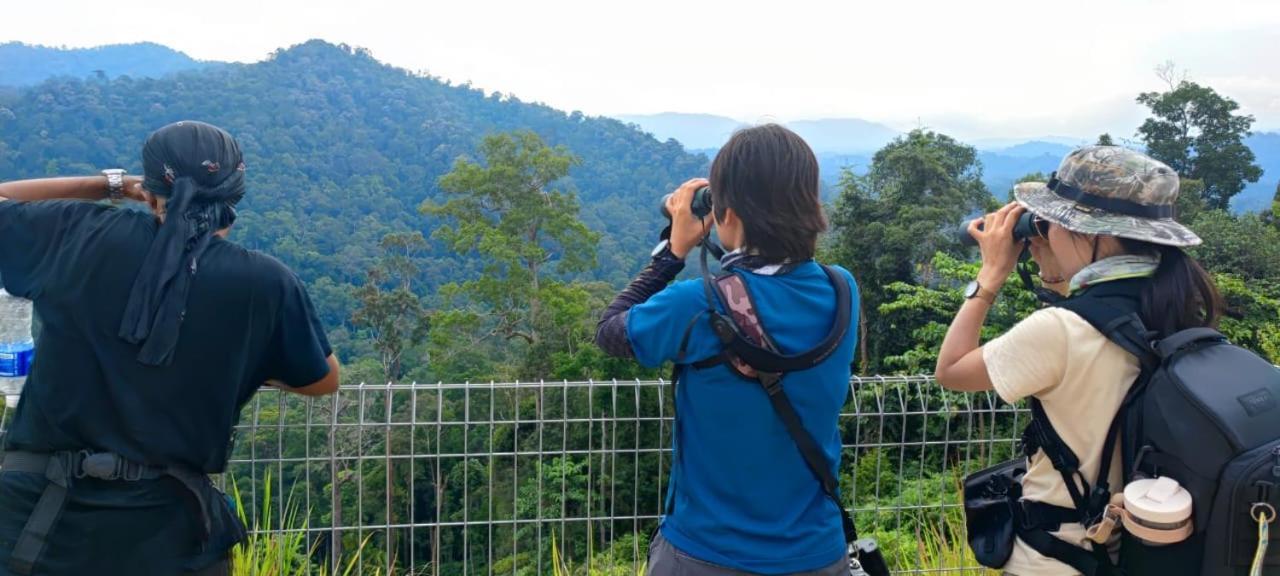 Tekoma Resort Taman Negara Kuala Tahan Exteriér fotografie